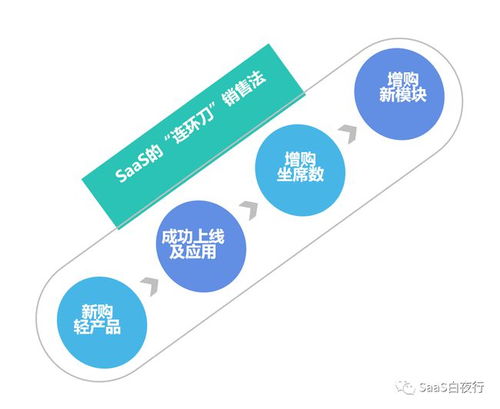 中國(guó)SaaS公司的互聯(lián)網(wǎng)特性與互聯(lián)網(wǎng)銷(xiāo)售